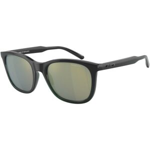 Arnette Woland AN4307 2837/2 - ONE SIZE (53)