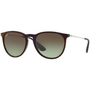 Ray-Ban Erika Classic RB4171 6316E8 - ONE SIZE (54)