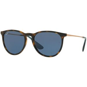 Ray-Ban Erika Color Mix RB4171 639080 - ONE SIZE (54)