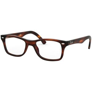 Ray-Ban The Timeless RX5228 2144 - L (55)