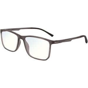 eyerim collection Propus Crystal Gray Screen Glasses - ONE SIZE (53)